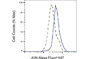 Flow cytometric analysis of JUN expression in HT- cells using JUN antibody (ABIN7799149), 1:2,000). (C-JUN 抗体)