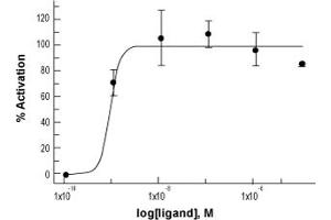 Galanin (GAL) peptide