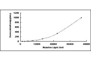ELISA image for Interleukin 31 (IL31) CLIA Kit (ABIN1081695)