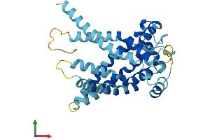 Protein Structure (PS) image for Solute Carrier Family 25 (Mitochondrial Thiamine Pyrophosphate Carrier), Member 19 (SLC25A19) (AA 1-318) protein (His tag) (ABIN7561235)
