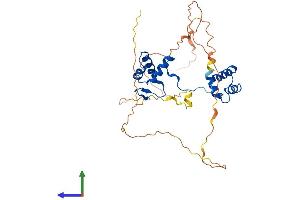 Protein Structure (PS) image for Paired Box 9 (PAX9) (AA 1-341) protein (His tag) (ABIN7550621)