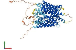 Protein Structure (PS) image for Solute Carrier Family 46 Member 2 (SLC46A2) (AA 1-475) protein (His tag) (ABIN7544832)