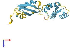 RPL12 Protein (AA 1-165) (His tag)