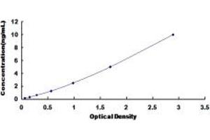 Typical standard curve (CDK6 ELISA 试剂盒)