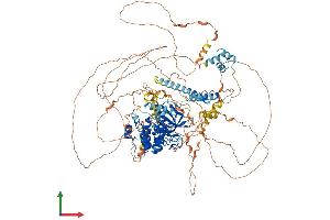 AlphaFold protein structure predicition of Human Recombinant LATS2 Protein, UniprotID Q9NRM7 (LATS2 Protein (AA 1-1088) (His tag))