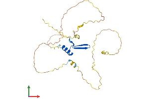 Protein Structure (PS) image for Vestigial Like 1 (VGLL1) (AA 1-258) protein (His tag) (ABIN7545098)