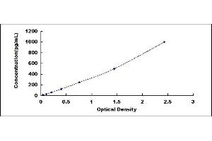 Typical standard curve (FGF7 ELISA 试剂盒)