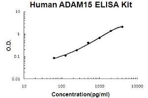 Human ADAM15 PicoKine ELISA Kit standard curve