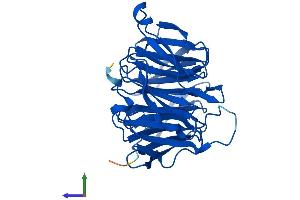 Protein Structure (PS) image for Budding Uninhibited By Benzimidazoles 3 Homolog (Yeast) (BUB3) (AA 1-326) protein (His tag) (ABIN7556312)