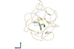 Protein Structure (PS) image for Mastermind-Like Domain Containing 1 (MAMLD1) (AA 1-803) protein (His tag) (ABIN7562799)