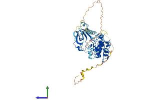 AlphaFold protein structure predicition of Mouse Recombinant Rps6kb2 Protein, UniprotID Q9Z1M4