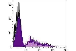 Rabbit peripheral blood lymphocytes were stained with Mouse Anti-Rabbit RLA-DQ-FITC. (RLA-DQ 抗体  (FITC))