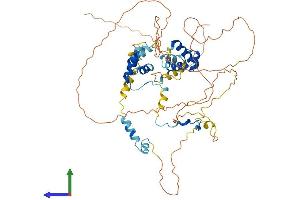 Protein Structure (PS) image for Mesoderm Induction Early Response 1, Family Member 3 (MIER3) (AA 1-551) protein (His tag) (ABIN7557192)