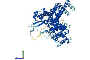Protein Structure (PS) image for Polymerase (RNA) III (DNA Directed) Polypeptide C (62kD) (POLR3C) (AA 1-533) protein (His tag) (ABIN7564983)