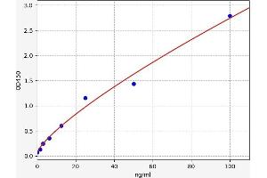Myeloperoxidase (MPO) ELISA Kit