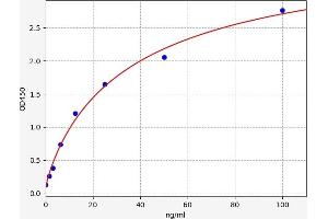 COL27A1 ELISA 试剂盒