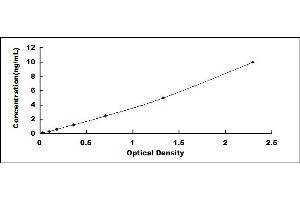 Typical standard curve (BTD ELISA 试剂盒)