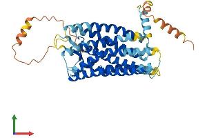 Protein Structure (PS) image for Chemokine (C-X-C Motif) Receptor 5 (CXCR5) (AA 1-374) protein (His tag) (ABIN7556882)