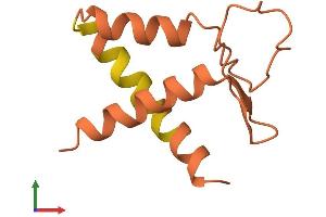 AlphaFold protein structure predicition of Human Recombinant LINC01560 Protein, UniprotID Q8TB33