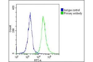 Overlay histogram showing Hela cells stained with (ABIN1536765 and ABIN2849630)(green line). (IFNA1 抗体  (C-Term))