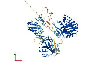 Protein Structure (PS) image for AlkB, Alkylation Repair Homolog 8 (ALKBH8) (AA 1-664) protein (His tag) (ABIN7564292)