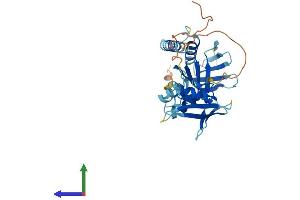 Protein Structure (PS) image for Signal Transducing Adaptor Family Member 1 (STAP1) (AA 1-297) protein (His tag) (ABIN7561696)