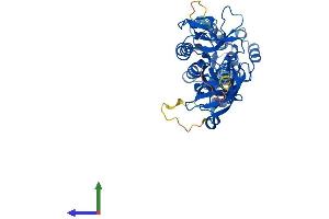 Protein Structure (PS) image for tRNA 5-Methylaminomethyl-2-Thiouridylate Methyltransferase (TRMU) (AA 1-421) protein (His tag) (ABIN7549582)