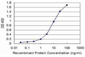 Detection limit for recombinant GST tagged ABL2 is approximately 1ng/ml as a capture antibody. (ABL2 抗体  (AA 743-842))
