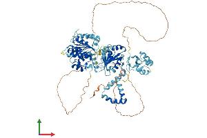 AlphaFold protein structure predicition of Human Recombinant DDX50 Protein, UniprotID Q9BQ39