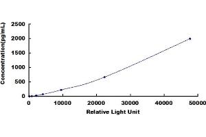 ELISA image for Transforming Growth Factor, alpha (TGFA) CLIA Kit (ABIN491822)