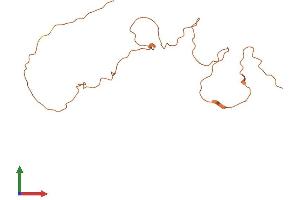 AlphaFold protein structure predicition of Human Recombinant KRTAP11-1 Protein, UniprotID Q8IUC1