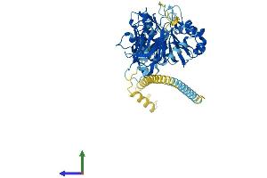 Protein Structure (PS) image for Mannosyl (Alpha-1,3-)-Glycoprotein beta-1,4-N-Acetylglucosaminyltransferase, Isozyme A (MGAT4A) (AA 1-535) protein (His tag) (ABIN7554553)