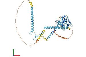 Protein Structure (PS) image for SH2 Domain Containing 4A (SH2D4A) (AA 1-421) protein (His tag) (ABIN7561098)