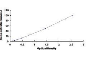 Lipase, Endothelial (LIPG) ELISA Kit