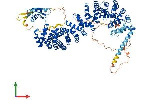 Protein Structure (PS) image for Kinesin Associated Protein 3 (KIFAP3) (AA 1-793) protein (His tag) (ABIN7556670)