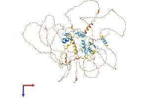 ATM Interactor Protein (ATMIN) (AA 1-823) (His tag)