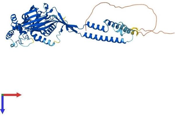 ACCN1 Protein (AA 1-512) (His tag)