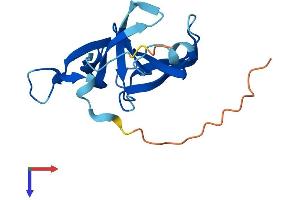 AlphaFold protein structure predicition of Human Recombinant FAM72D Protein, UniprotID Q6L9T8