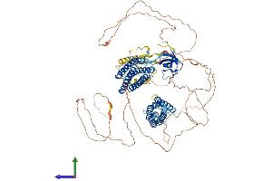 Protein Structure (PS) image for Neural Precursor Cell Expressed, Developmentally Down-Regulated 9 (NEDD9) (AA 1-834) protein (His tag) (ABIN7552840)