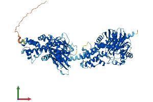 AlphaFold protein structure predicition of Human Recombinant HK3 Protein, UniprotID P52790