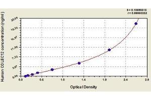 Typical standard curve (COLEC12 ELISA 试剂盒)