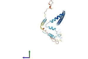 Protein Structure (PS) image for Clathrin, Light Chain A (CLTA) (AA 1-235) protein (His tag) (ABIN7562176)