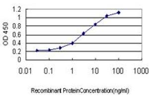Detection limit for recombinant GST tagged TEK is approximately 0. (TEK 抗体  (AA 701-800))