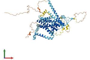 AlphaFold protein structure predicition of Mouse Recombinant Slc34a3 Protein, UniprotID Q80SU6 (SLC34A3 Protein (AA 1-601) (His tag))