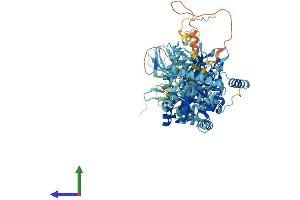 Protein Structure (PS) image for Minichromosome Maintenance Complex Component 6 (MCM6) (AA 1-821) protein (His tag) (ABIN7563541)