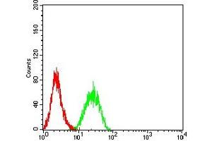 Flow cytometric analysis of K562 cells using BTN1A1 mouse mAb (green) and negative control (red). (BTN1A1 抗体  (AA 27-242))