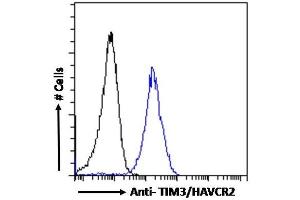 (ABIN185571) Flow cytometric analysis of paraformaldehyde fixed HepG2 cells (blue line), permeabilized with 0. (TIM3 抗体  (Internal Region))