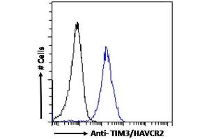 (ABIN185571) Flow cytometric analysis of paraformaldehyde fixed HepG2 cells (blue line), permeabilized with 0.