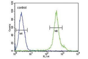 Flow Cytometry (FACS) image for anti-Adiponectin Receptor 2 (ADIPOR2) antibody (ABIN3002238) (Adiponectin Receptor 2 抗体)