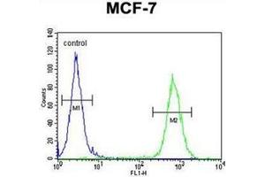 Flow cytometric analysis of MCF-7 cells using RICH2 Antibody (C-term) Cat. (ARHGAP44 抗体  (C-Term))